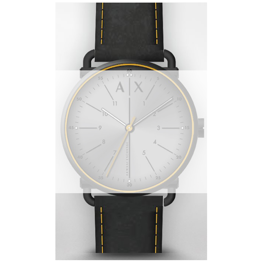 ax2904