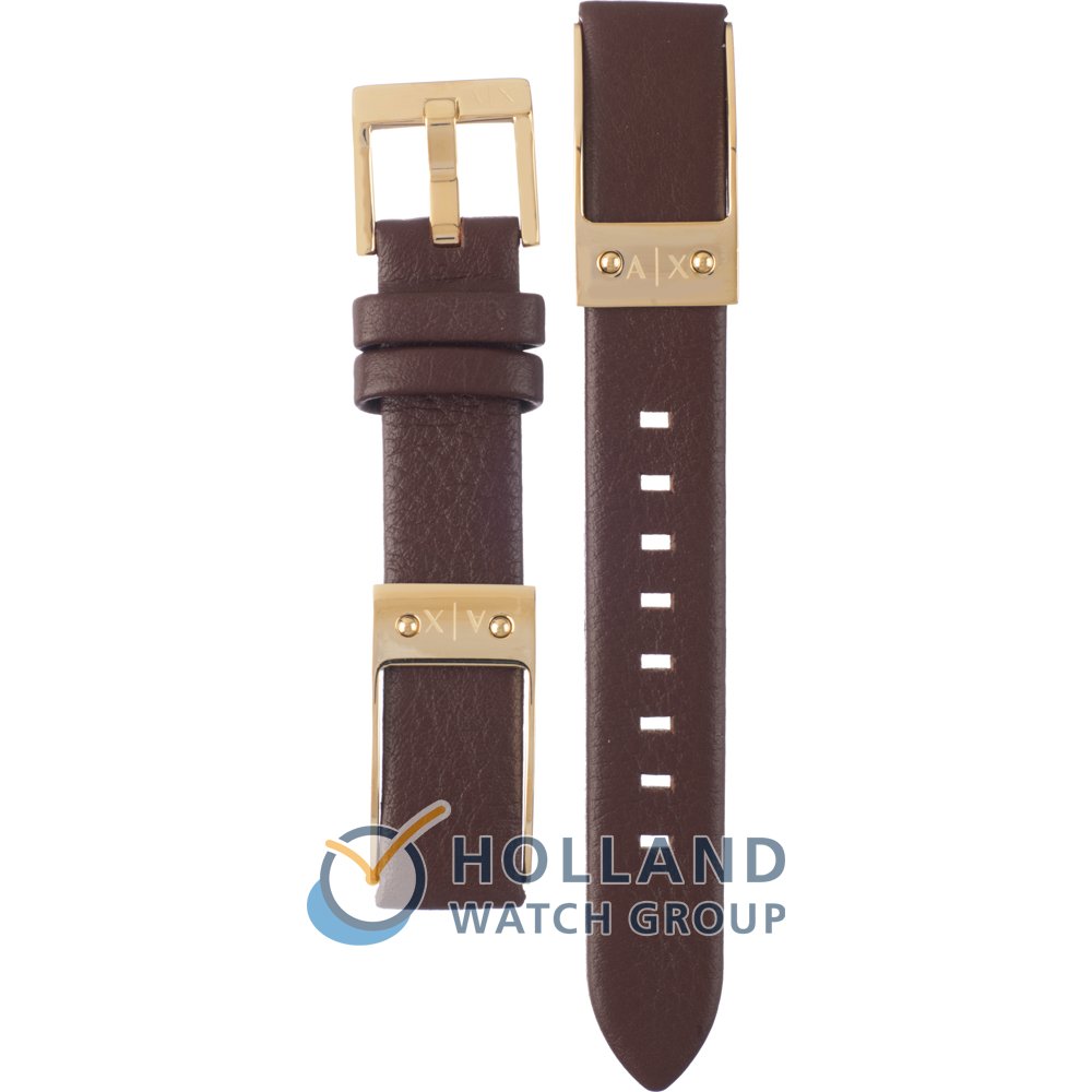 Armani Exchange AAX5310 Strap