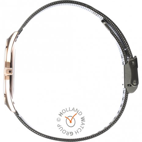 Bering watch silver