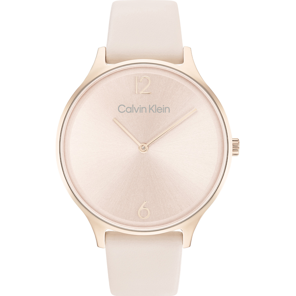 Calvin Klein 25200009 Timeless Mesh Watch