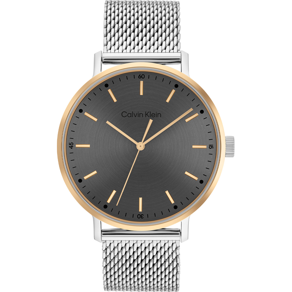 Watch 7613272456333 • Klein • Modern Mesh EAN: Calvin 25200047