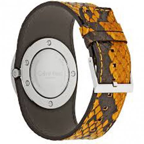 watch silver 