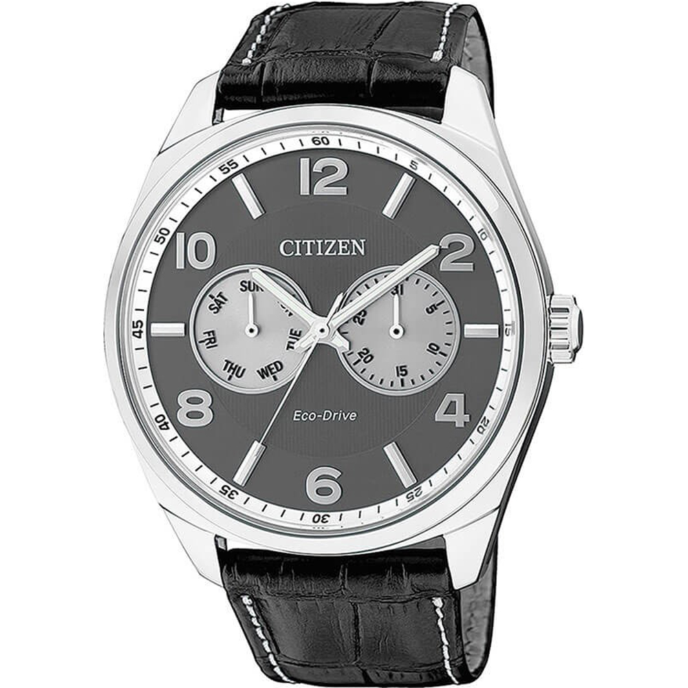 Citizen AO9020-17H Watch