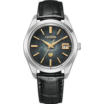 Citizen AQ4100-22E THE Citizen Watch