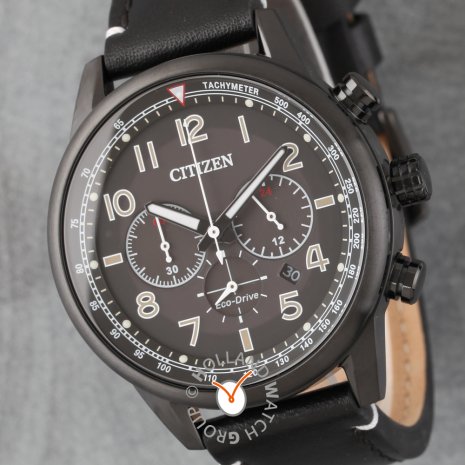 Citizen watch 2019