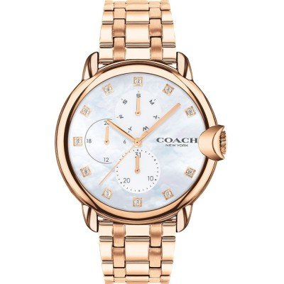 Montre Coach 14503682