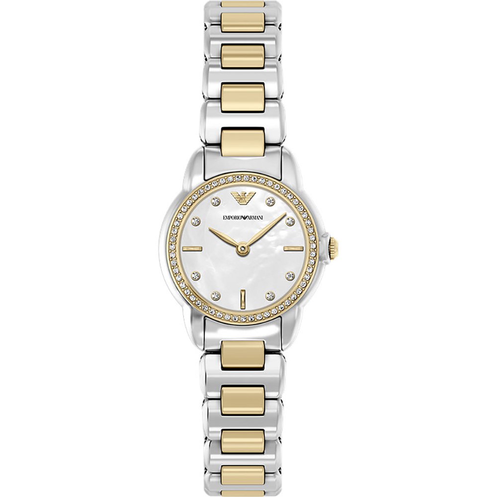 Emporio Armani AR11670 Watch • EAN: 723763333016 • Mastersintime.com