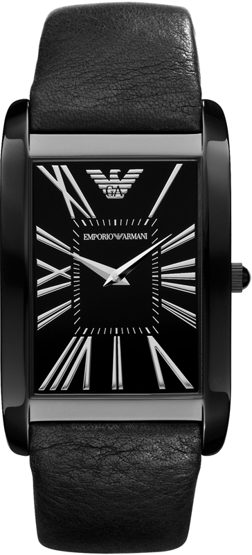 Emporio Armani AR2060 Watch