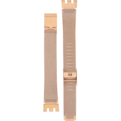 Festina BA04544 Automatic skeleton Strap