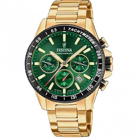 Festina F20634 watch