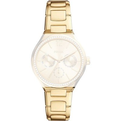 Fossil ABQ3722 BQ3722 Eevie Strap