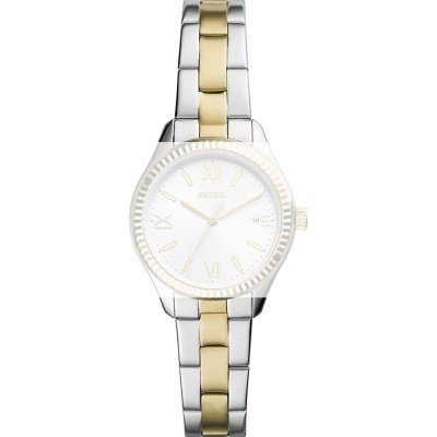 Fossil ABQ3927 BQ3927 Rye Strap