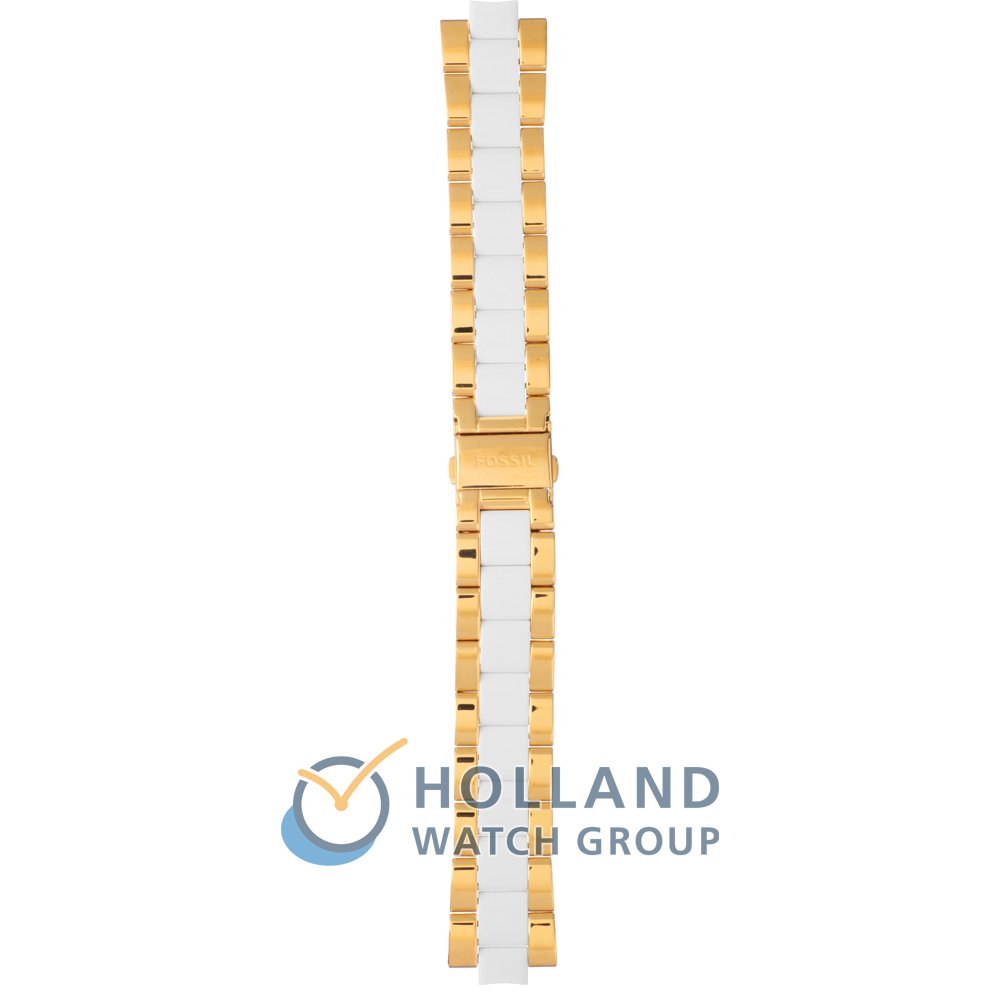 Fossil AAM4545 Strap - AM4545 Cecile