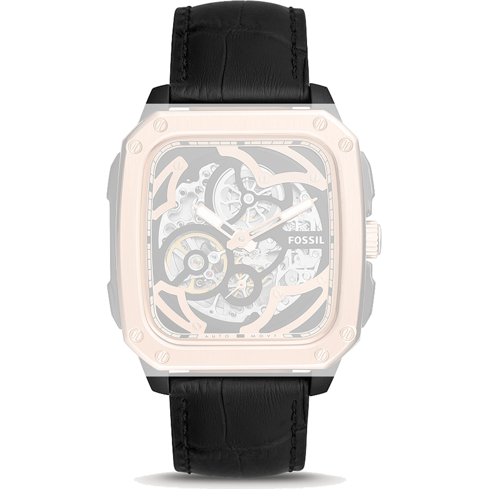 Fossil ABQ2572 Strap - BQ2572 Inscription