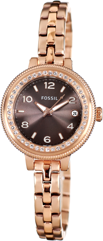 Fossil Watch Time 3 hands Bridgette Mini AM4367