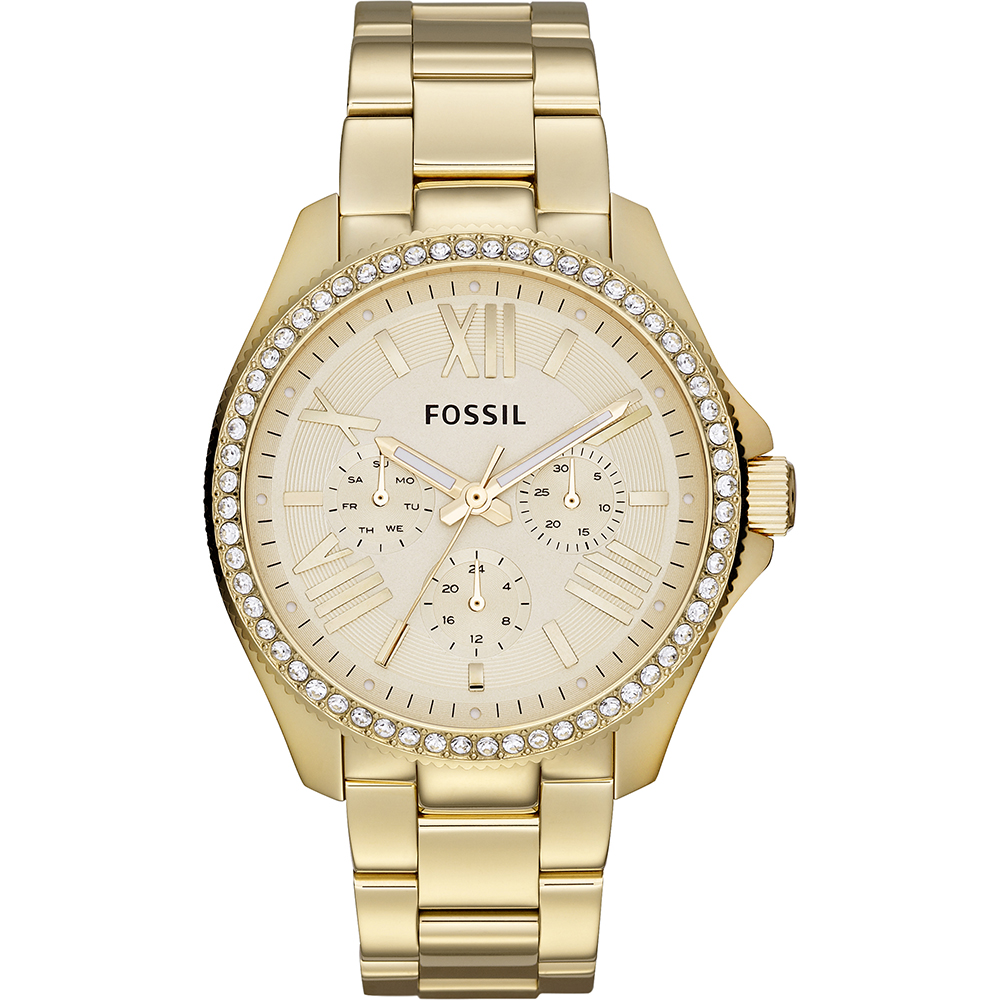 Fossil Watch Time 3 hands Cecile AM4482