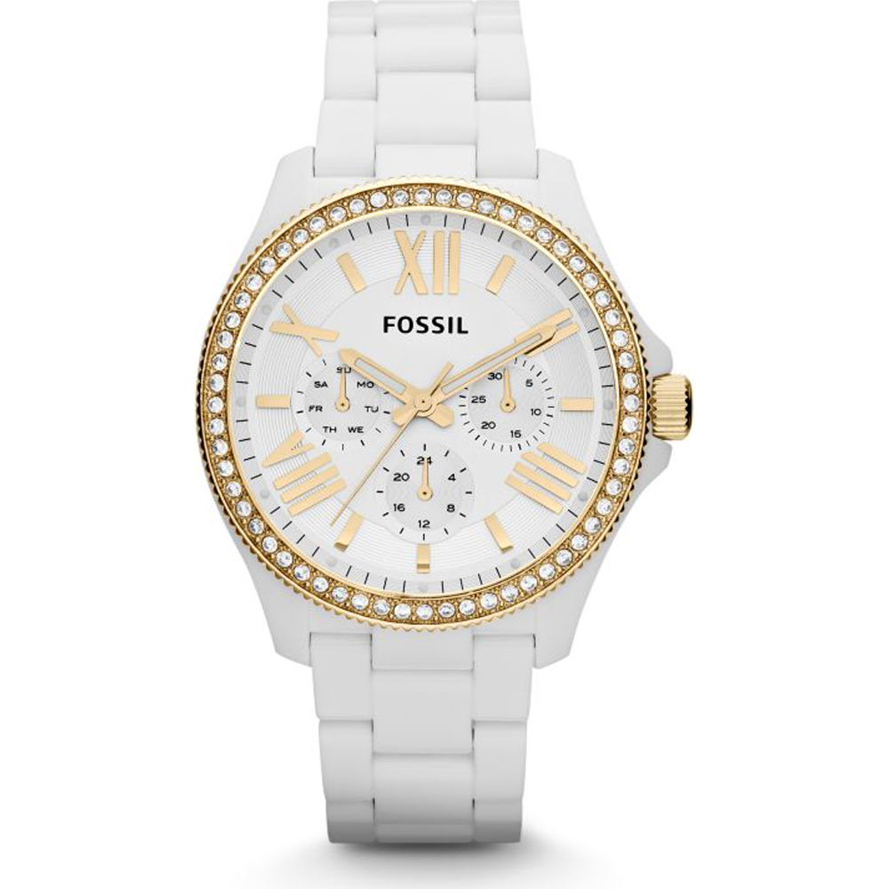 Fossil AM4493 Cecile Watch