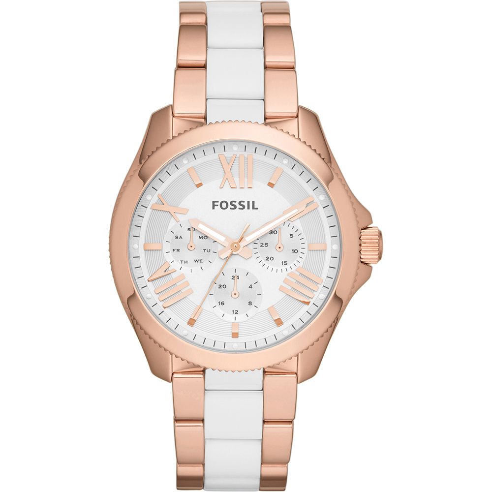 Fossil Watch Time 3 hands Cecile AM4546