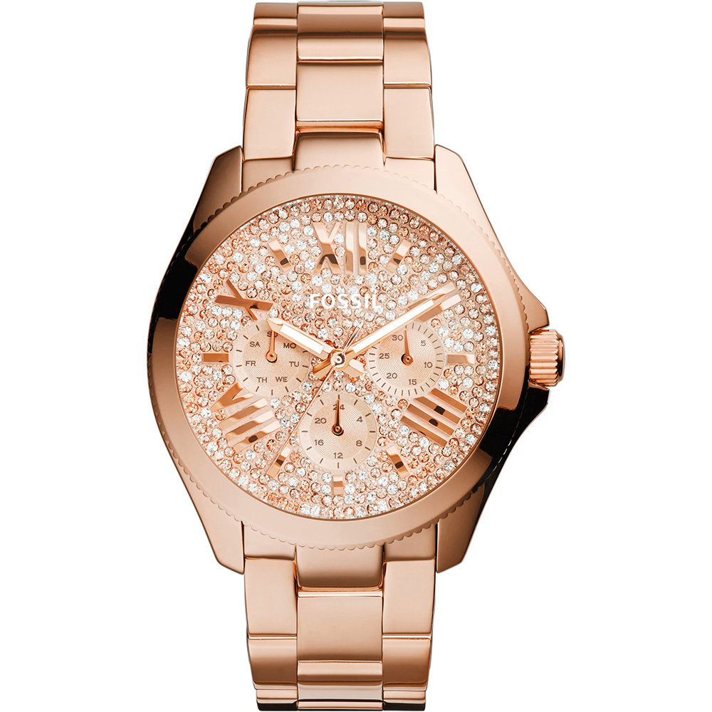 Fossil Watch Time 3 hands Cecile AM4604