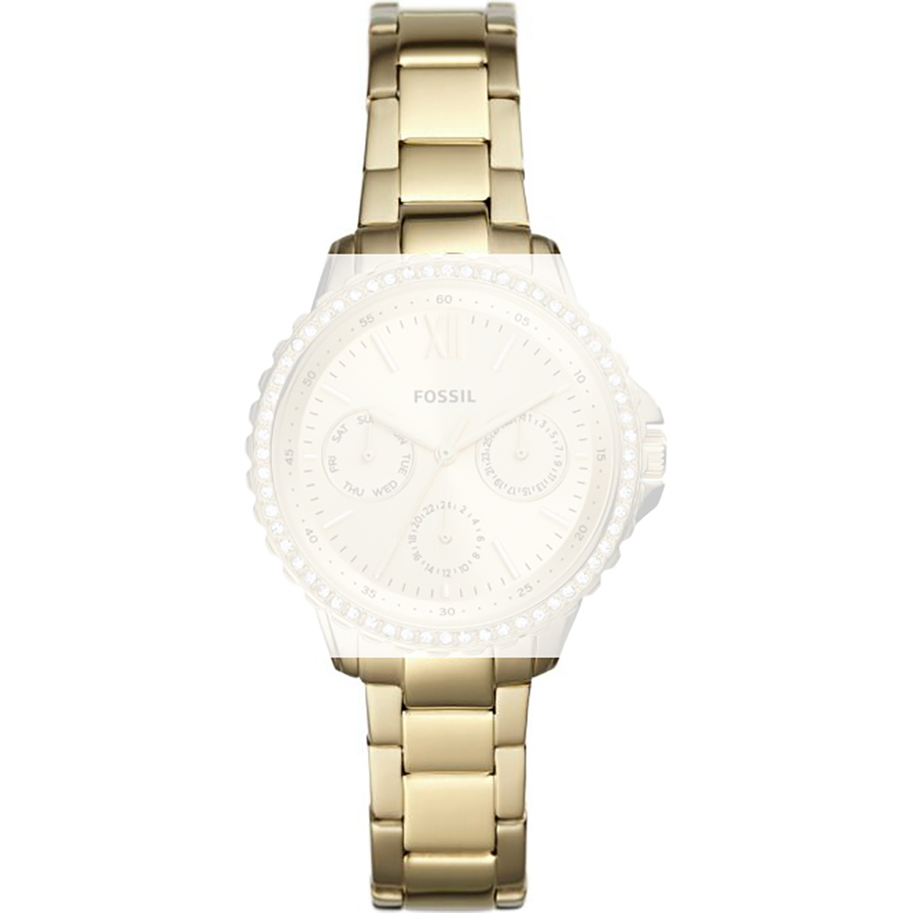 Fossil AES4890 Strap - ES4890 Izzy