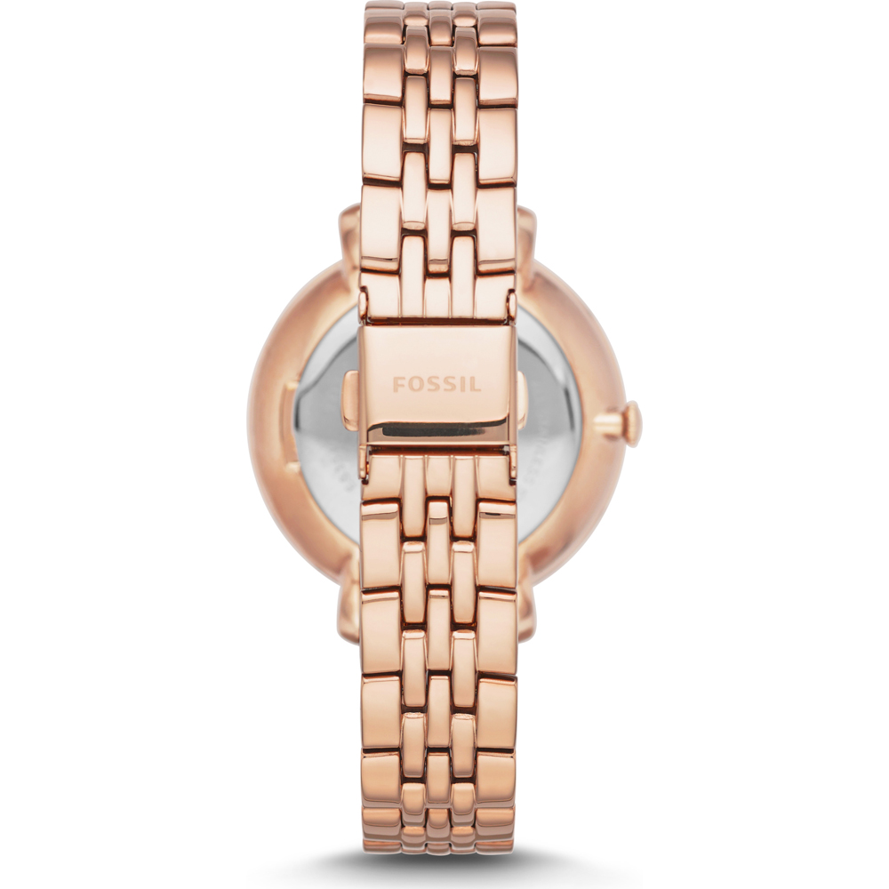 evangelion manga jbc