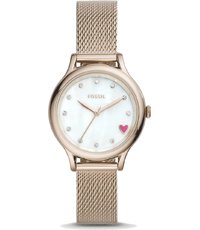 Fossil ABQ3466 Strap - BQ3466 Laney