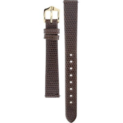 Correa Hirsch 01766110-1-13 Lizard