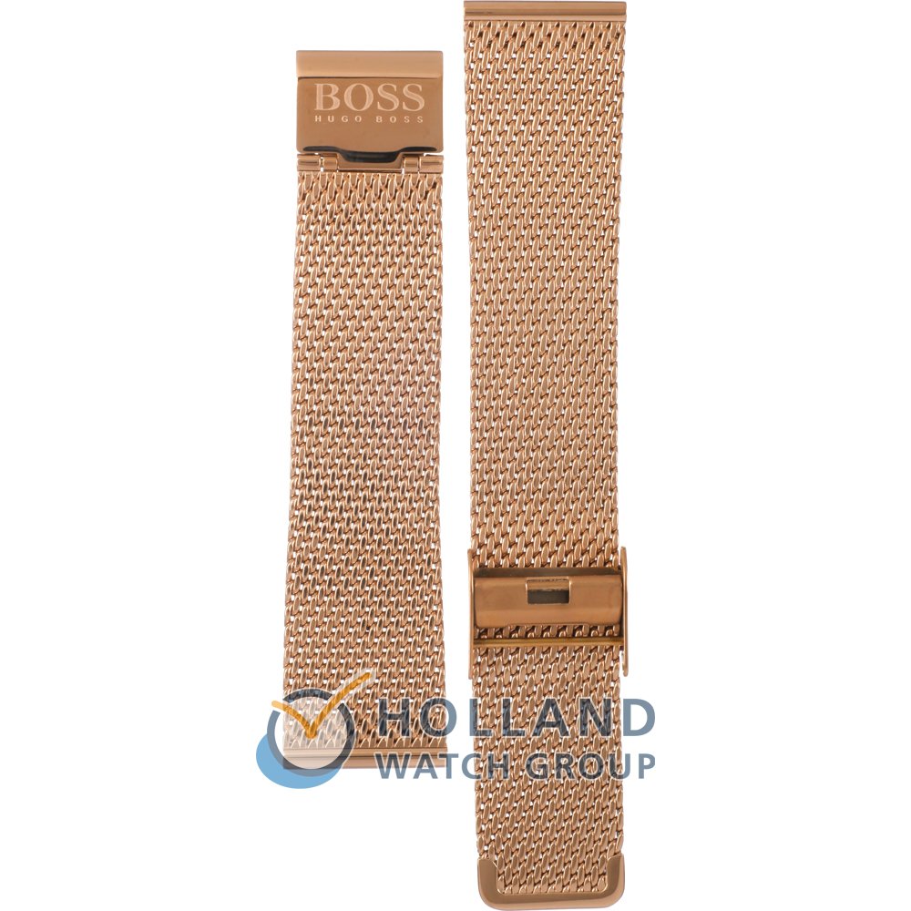 Hugo Boss 659002574 Strap 2574 Companion