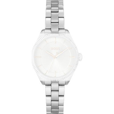 Correa Hugo Boss 659003116 Sage