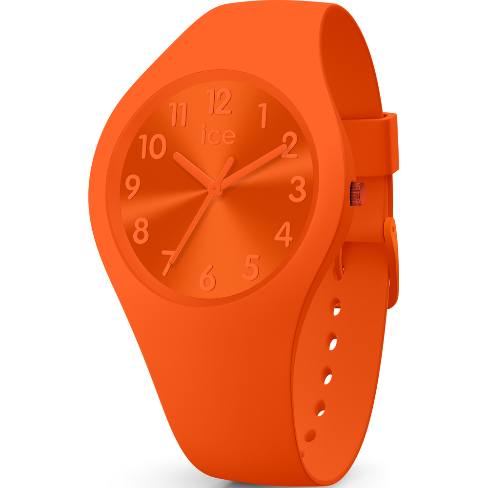 montre Ice-Watch 017910 ICE colour