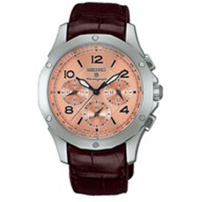 Seiko SAGJ017 Brightz Watch