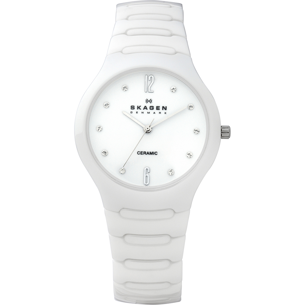 Skagen Watch Time 3 hands 817 Small 817SSXC