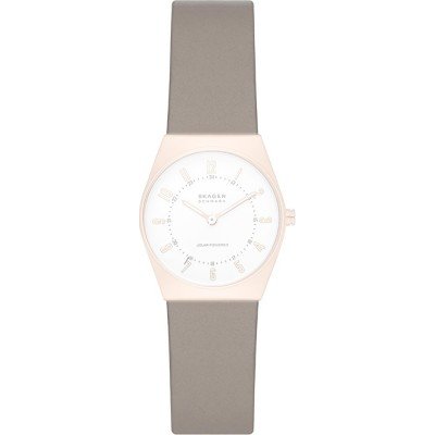 Bracelete Skagen ASKW3079 Grenen Lille Solar