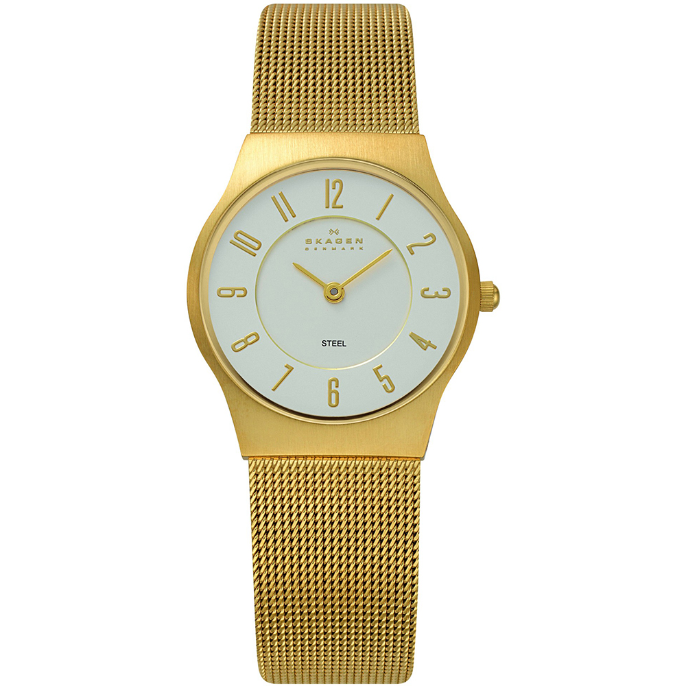 Skagen Watch Time 2 Hands Grenen Small 233SGG1