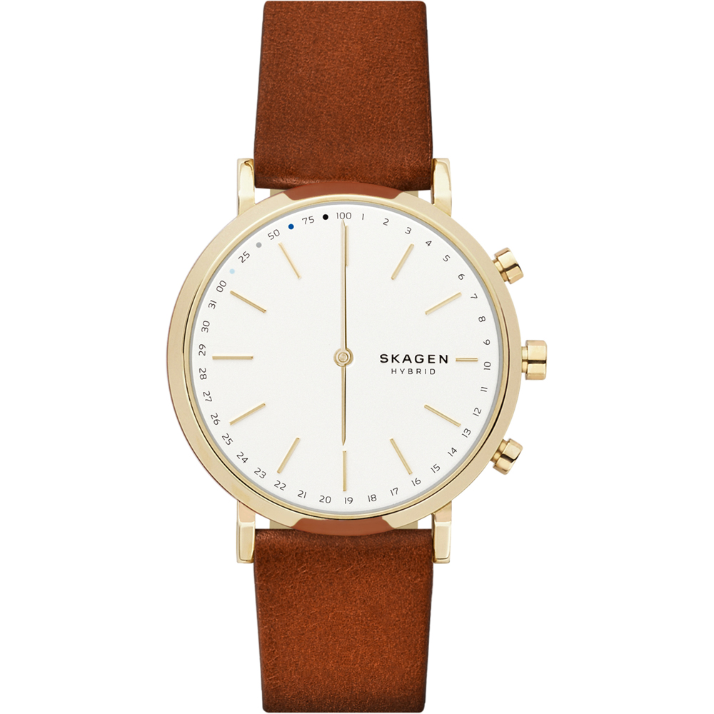 Skagen SKT1206 Hald Connected Watch