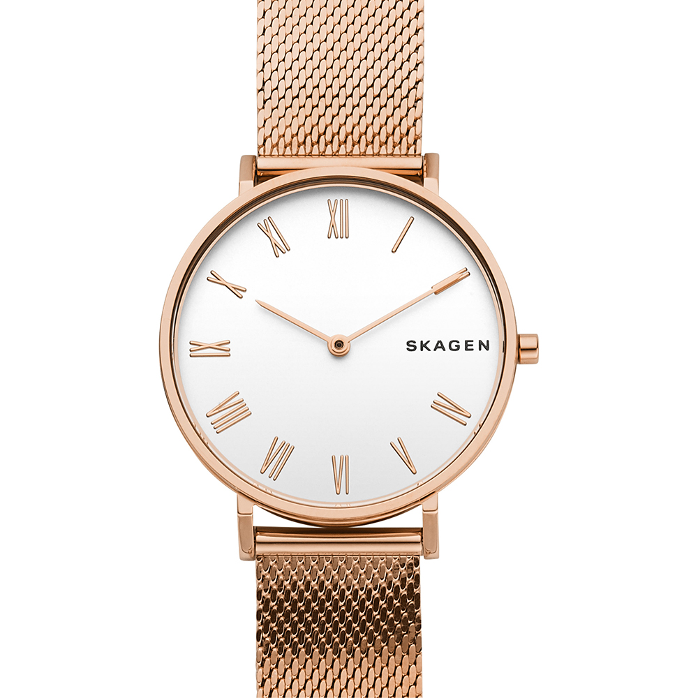 Montre Skagen SKW2714 Hald