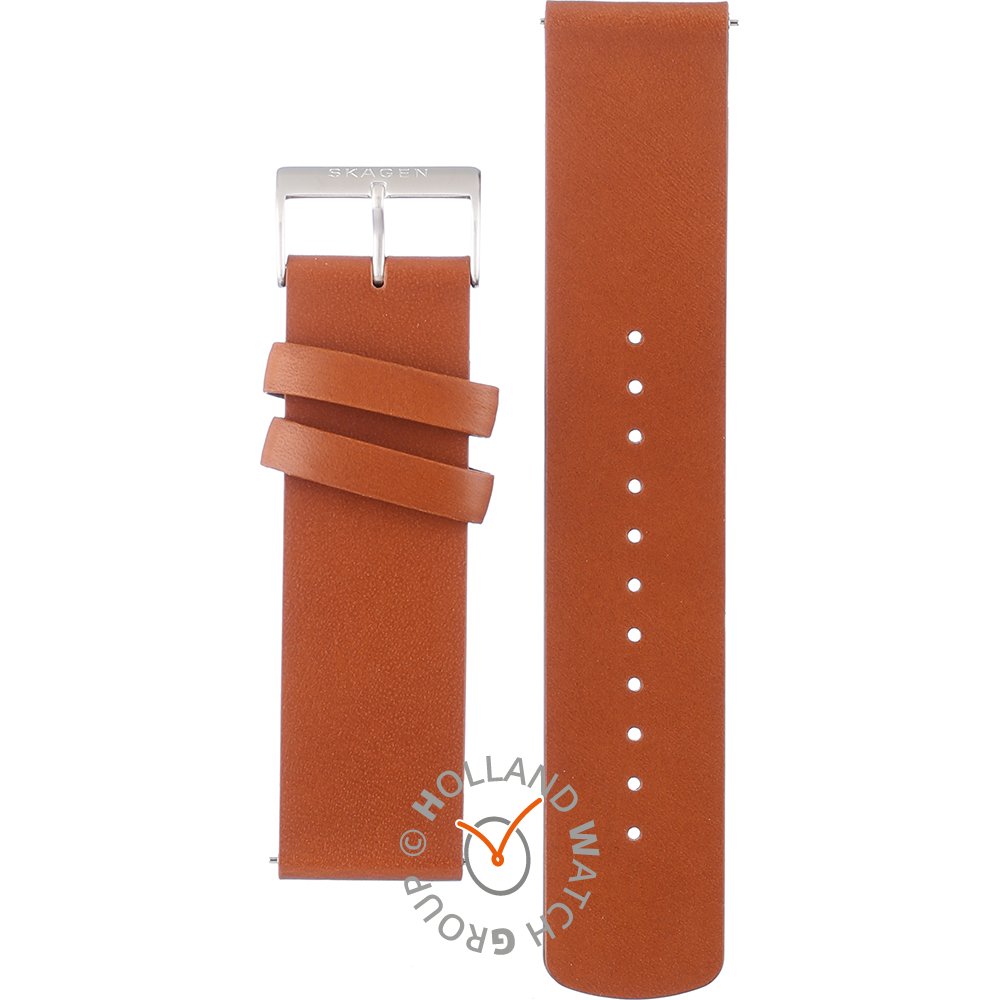 Skagen ASKT3000 Strap - SKT3000 Hybrid HR