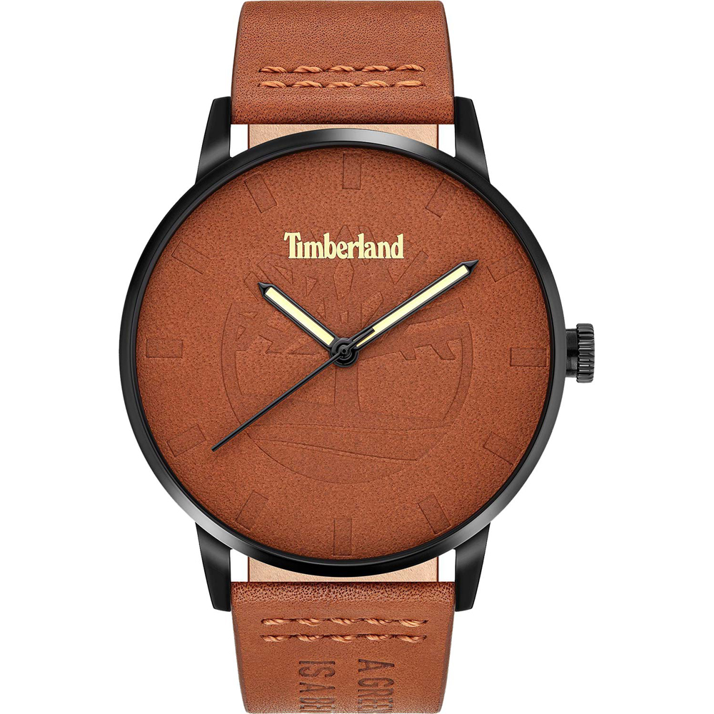 Orologio Timberland TDWJA2000801 Raycroft