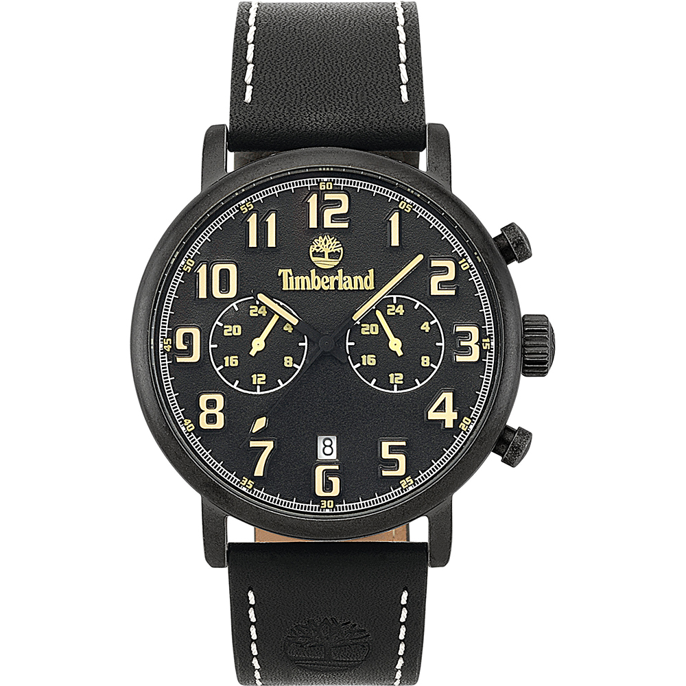 Montre Timberland TBL.15405JSQU/02 Richdale