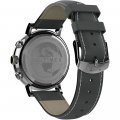 Timex watch grey